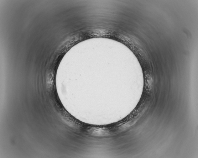 X0000111620507200908281116