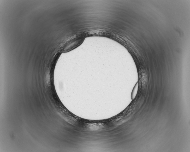 X0000111620508200908281116