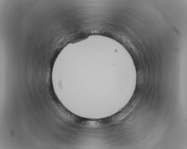 X0000111620509200908281116