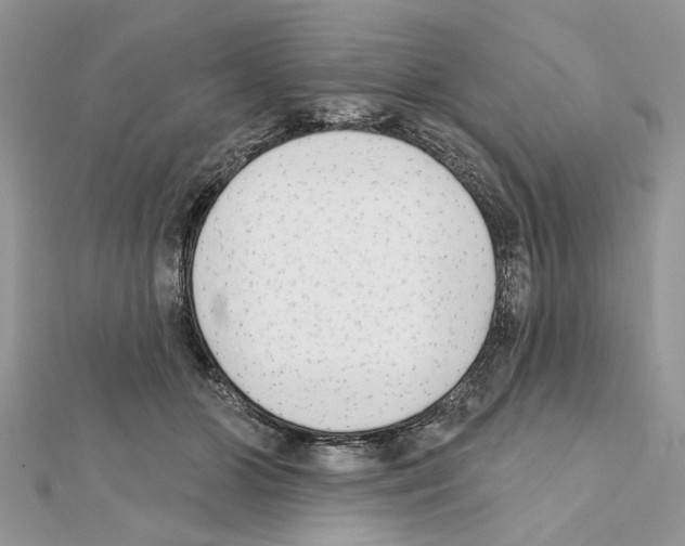 X0000111620510200908281116