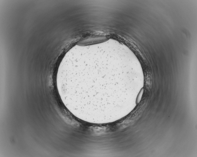 X0000111620512200908281116