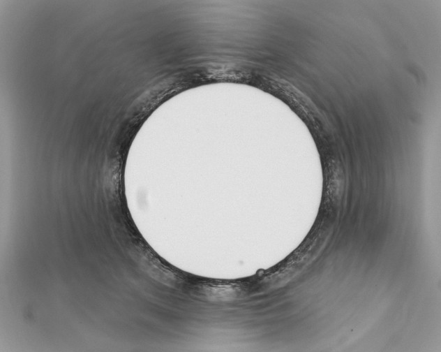 X0000111620513200908281115