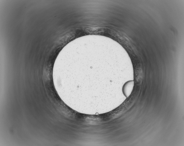 X0000111620515200908281115