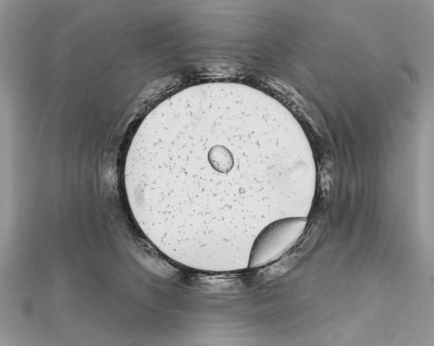 X0000111620516200908281115