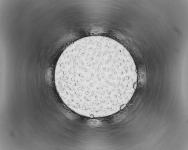 X0000111620519200908281115