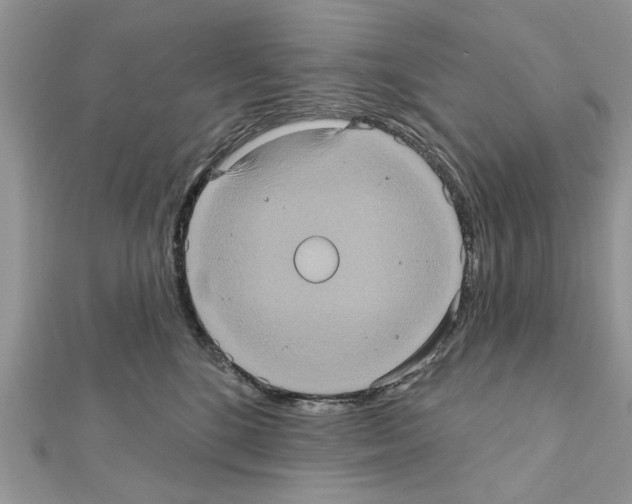 X0000111620520200908281115