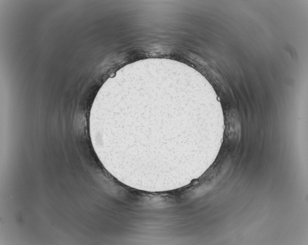 X0000111620523200908281115