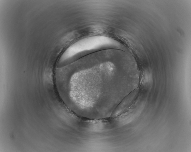 X0000111620524200908281115