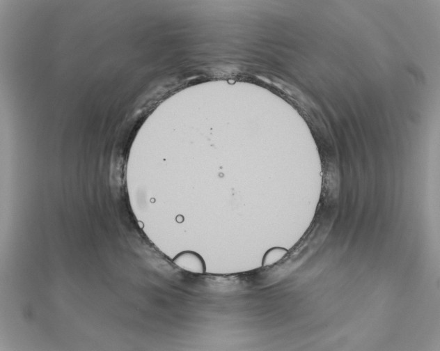 X0000111620525200908281115