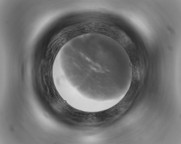 X0000111620526200908281115