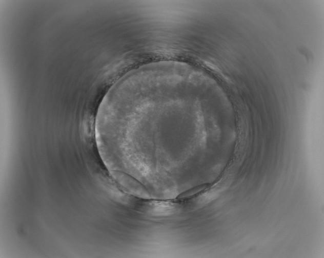 X0000111620528200908281115