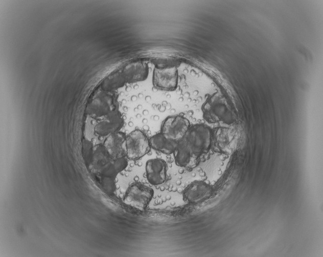 X0000111620529200908281115