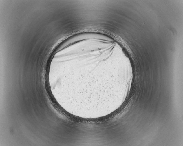 X0000111620530200908281115