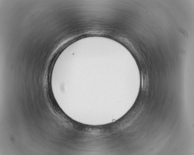 X0000111620531200908281115