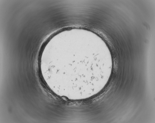 X0000111620532200908281115