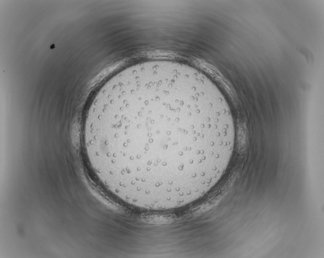 X0000111620533200908281115