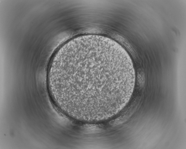 X0000111620534200908281115