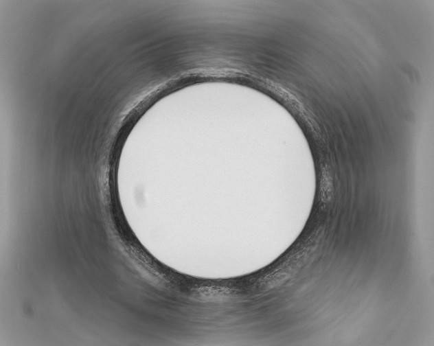 X0000111620535200908281115