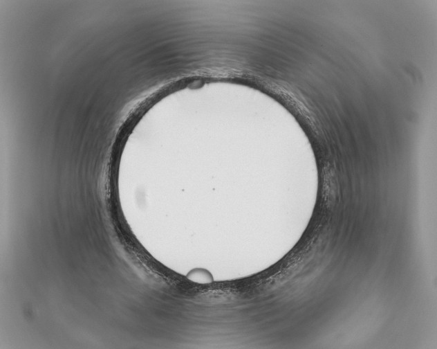 X0000111620536200908281115