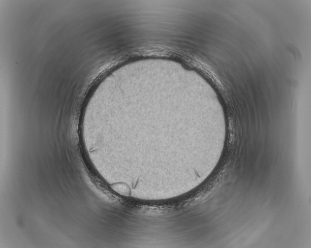 X0000111620538200908281115