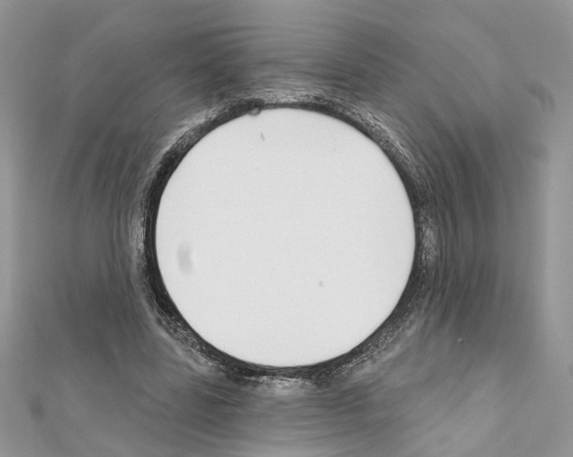 X0000111620539200908281115