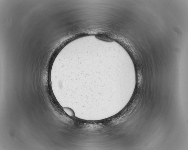 X0000111620540200908281115