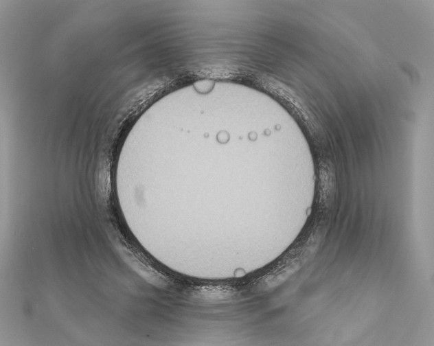 X0000111620541200908281115