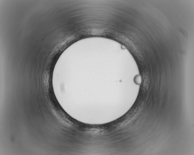 X0000111620542200908281115