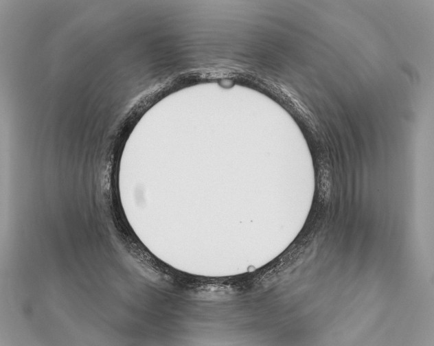 X0000111620543200908281115