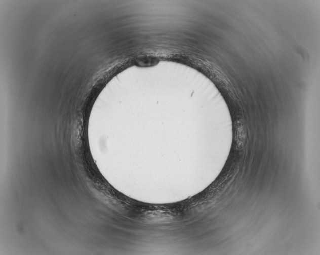 X0000111620544200908281115