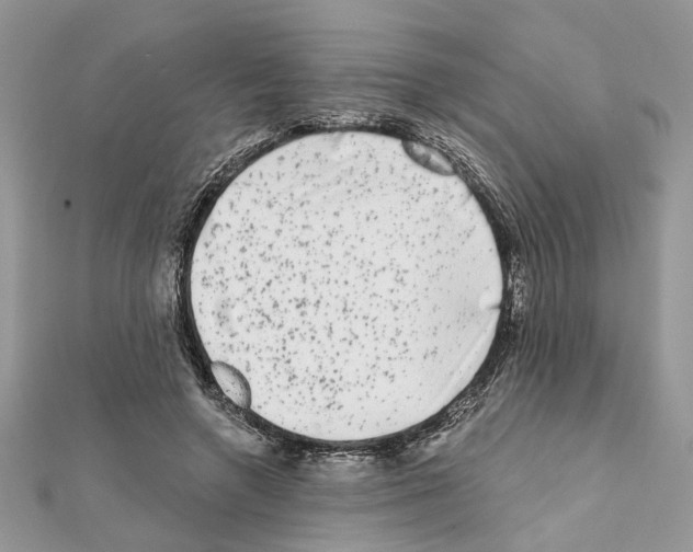 X0000111620546200908281115