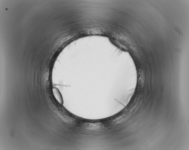 X0000111620548200908281115