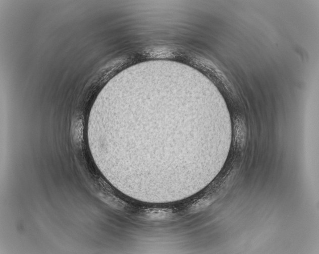 X0000111620549200908281115