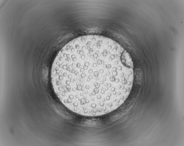 X0000111620550200908281115