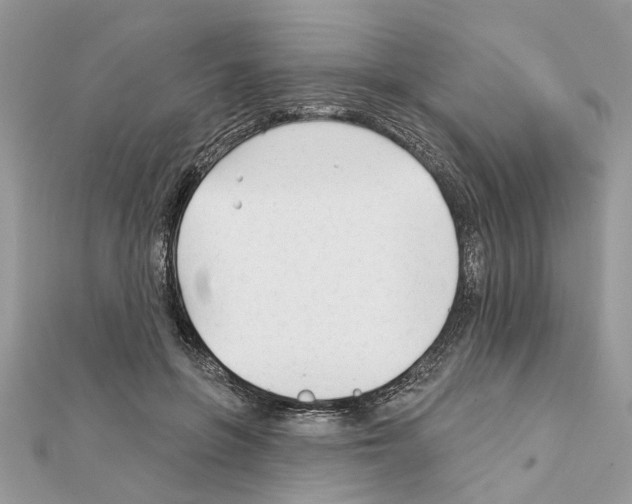 X0000111620551200908281115