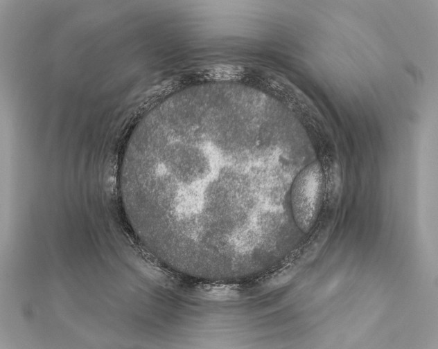 X0000111620553200908281115