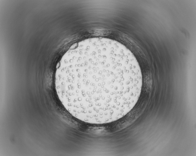 X0000111620554200908281115