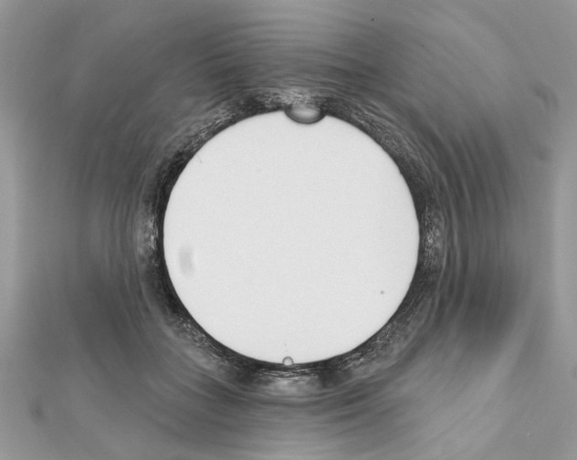 X0000111620555200908281115