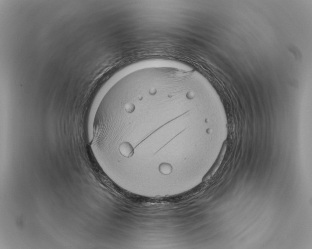 X0000111620556200908281115