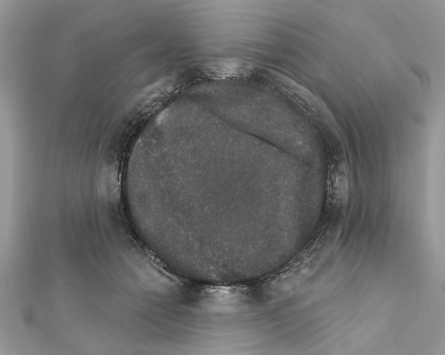 X0000111620558200908281115