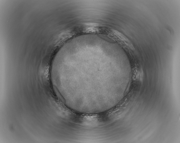 X0000111620560200908281115