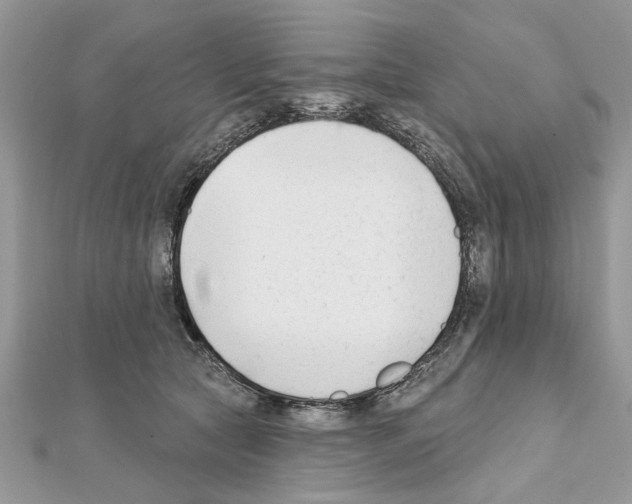 X0000111620561200908281115