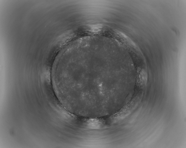 X0000111620562200908281115