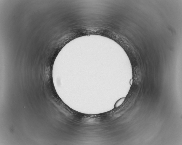 X0000111620563200908281115