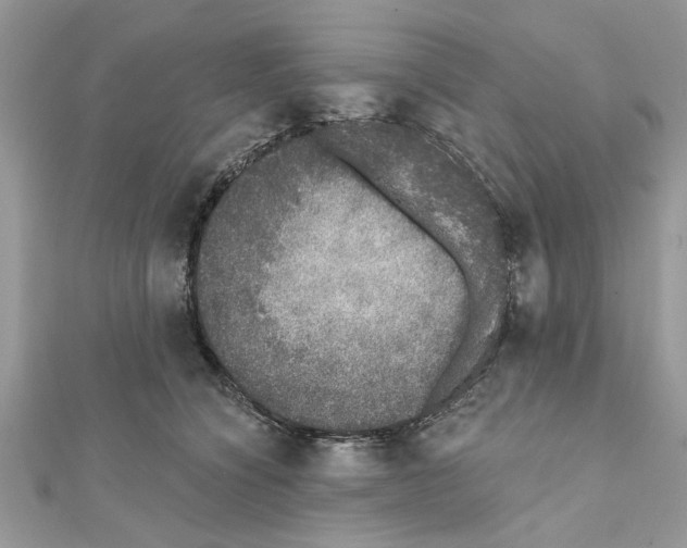 X0000111620564200908281115