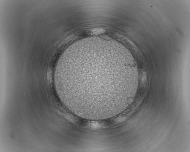 X0000111620565200908281115