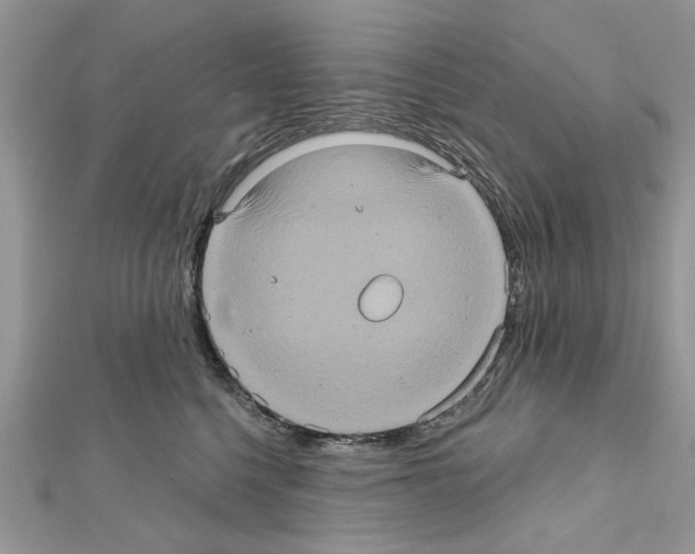 X0000111620568200908281115