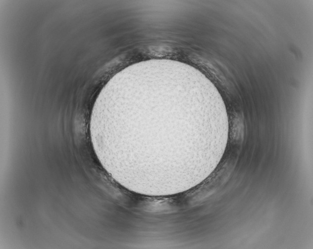 X0000111620569200908281115