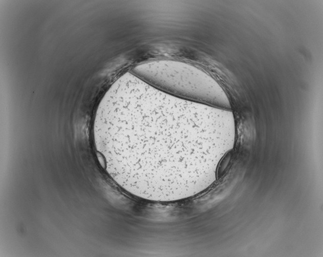 X0000111620570200908281115