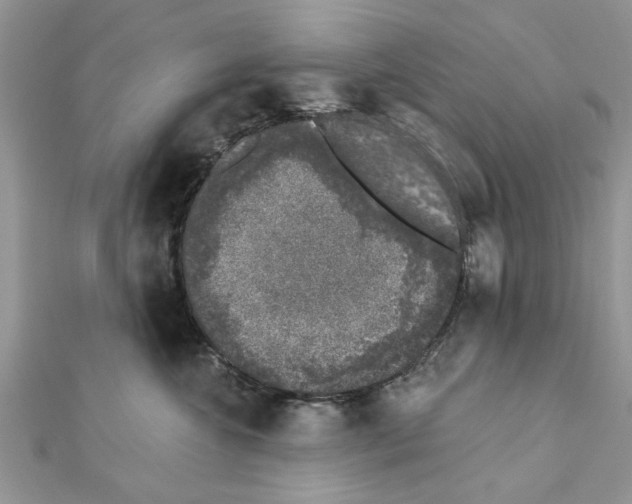 X0000111620572200908281115